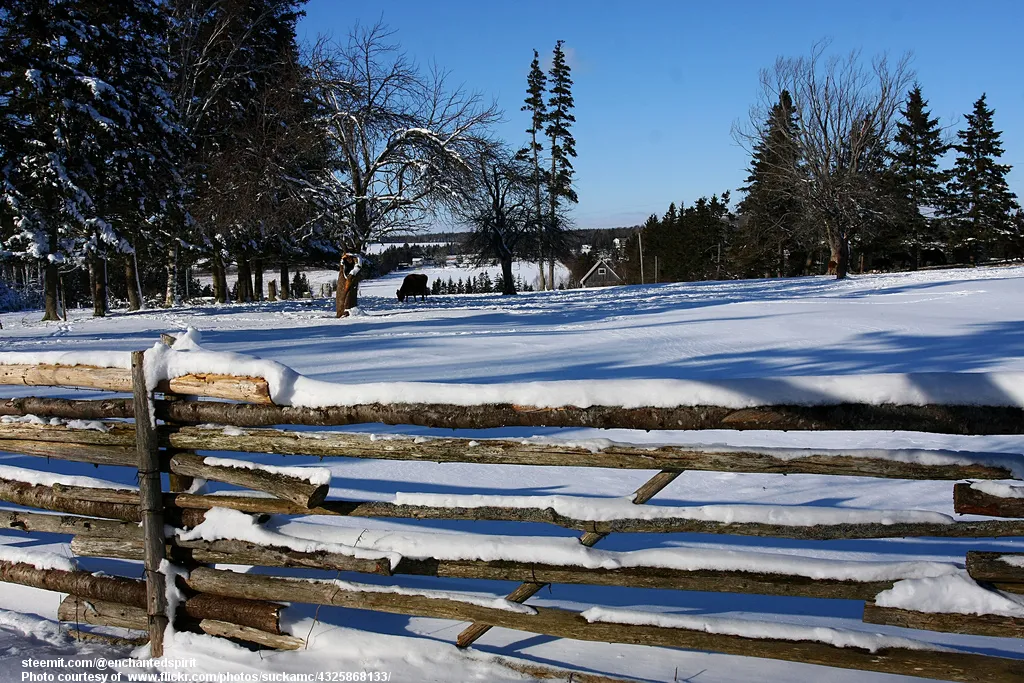 RailFenceInSnow-001-030818.jpg