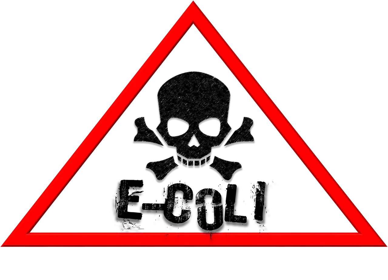 e-coli-hazard-1882290_1280.png
