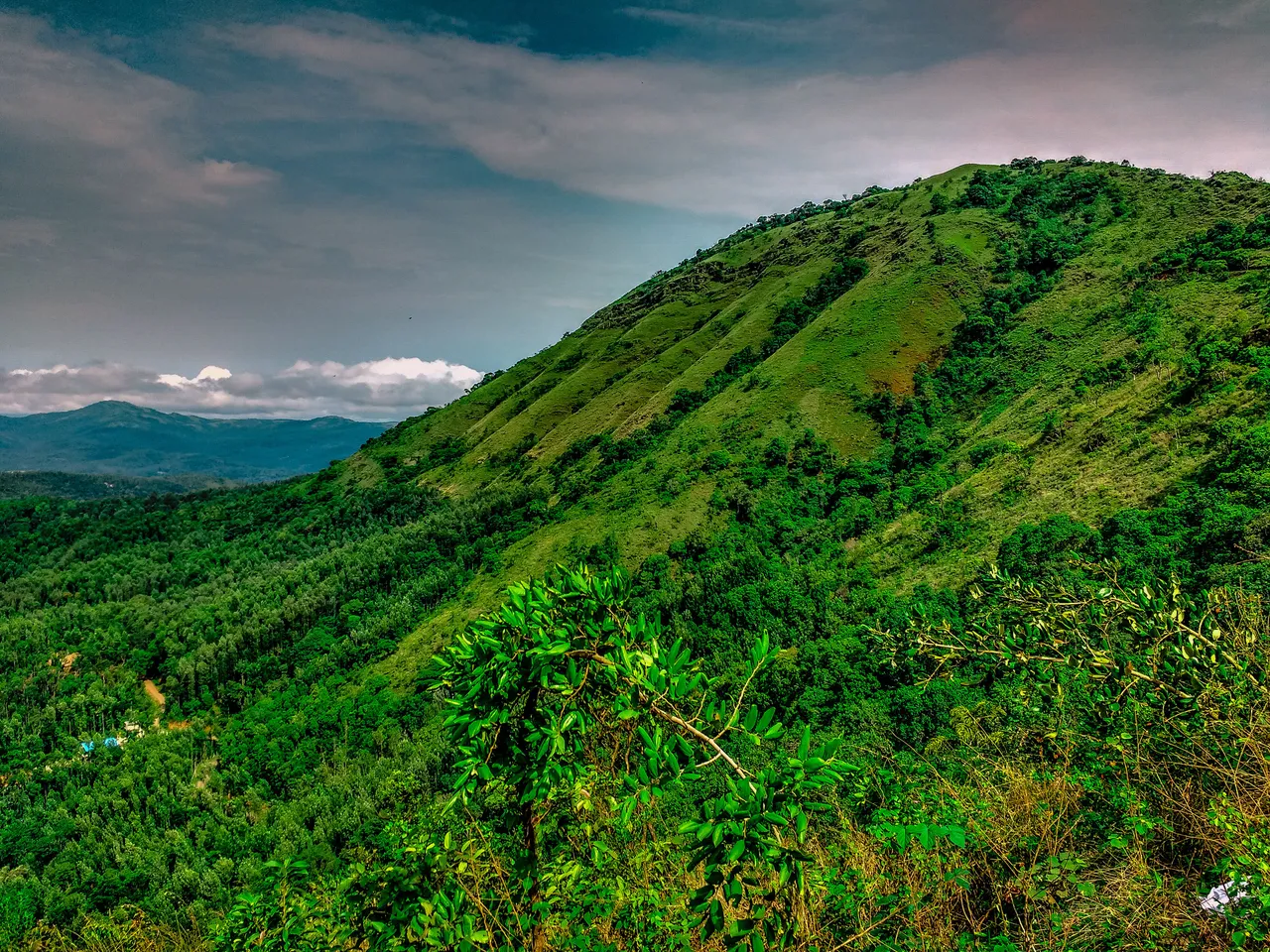 IMG_20160607_094242046_HDR.jpg