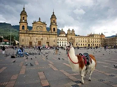 plaza-de-bolivar-llama-590.jpg