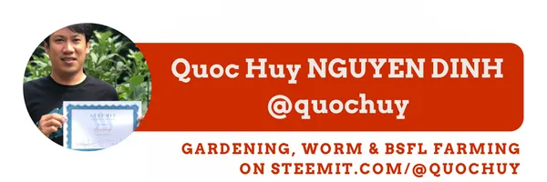 Quoc Huy NGUYEN DINH on Steemit