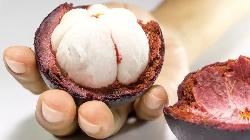 mangosteen-2477600_960_720.jpg