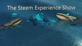 steemexperience-blanko0092.jpg