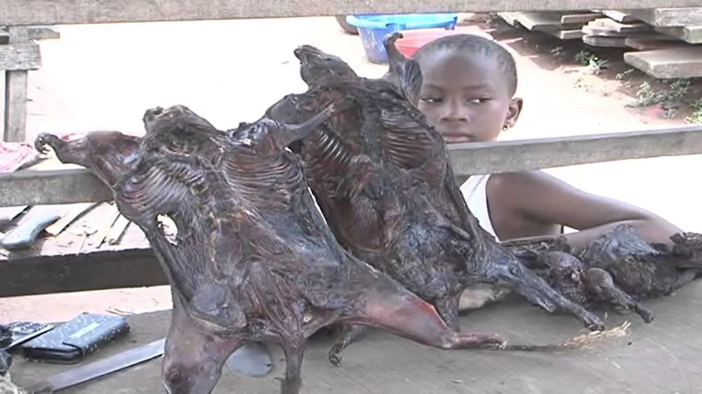 ebola-in-nigeria-bush-meat.jpg