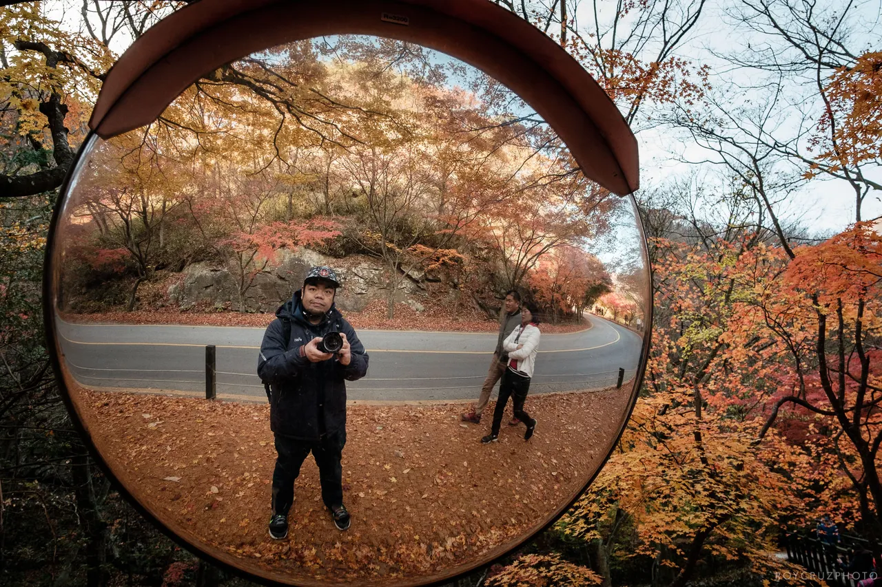 Naejangsan Autumn B-12.jpg