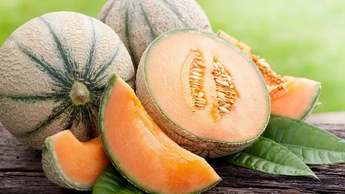 rock-melon_20180308_184540.jpg