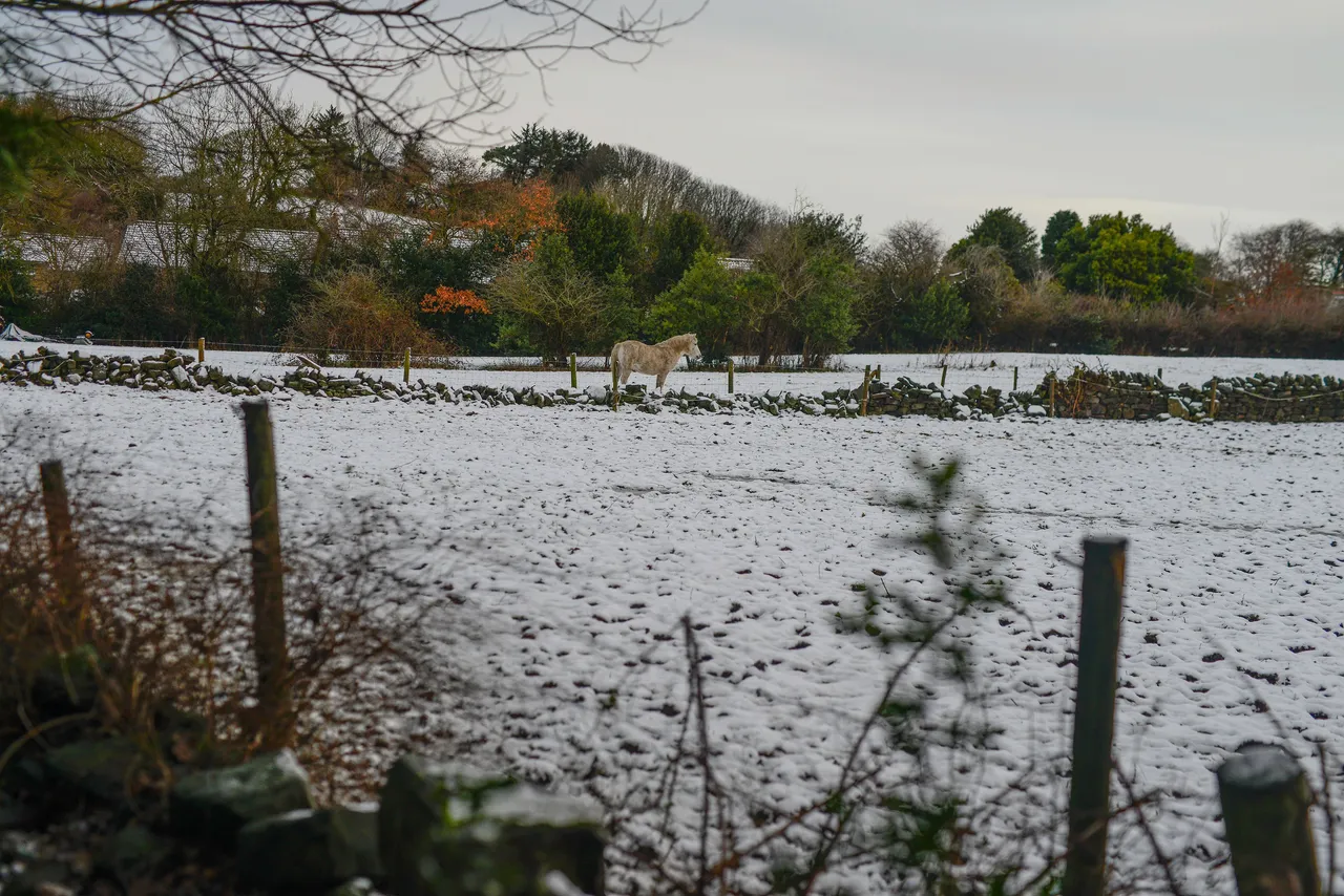 Yorskhire Snow_dsc931205.jpg