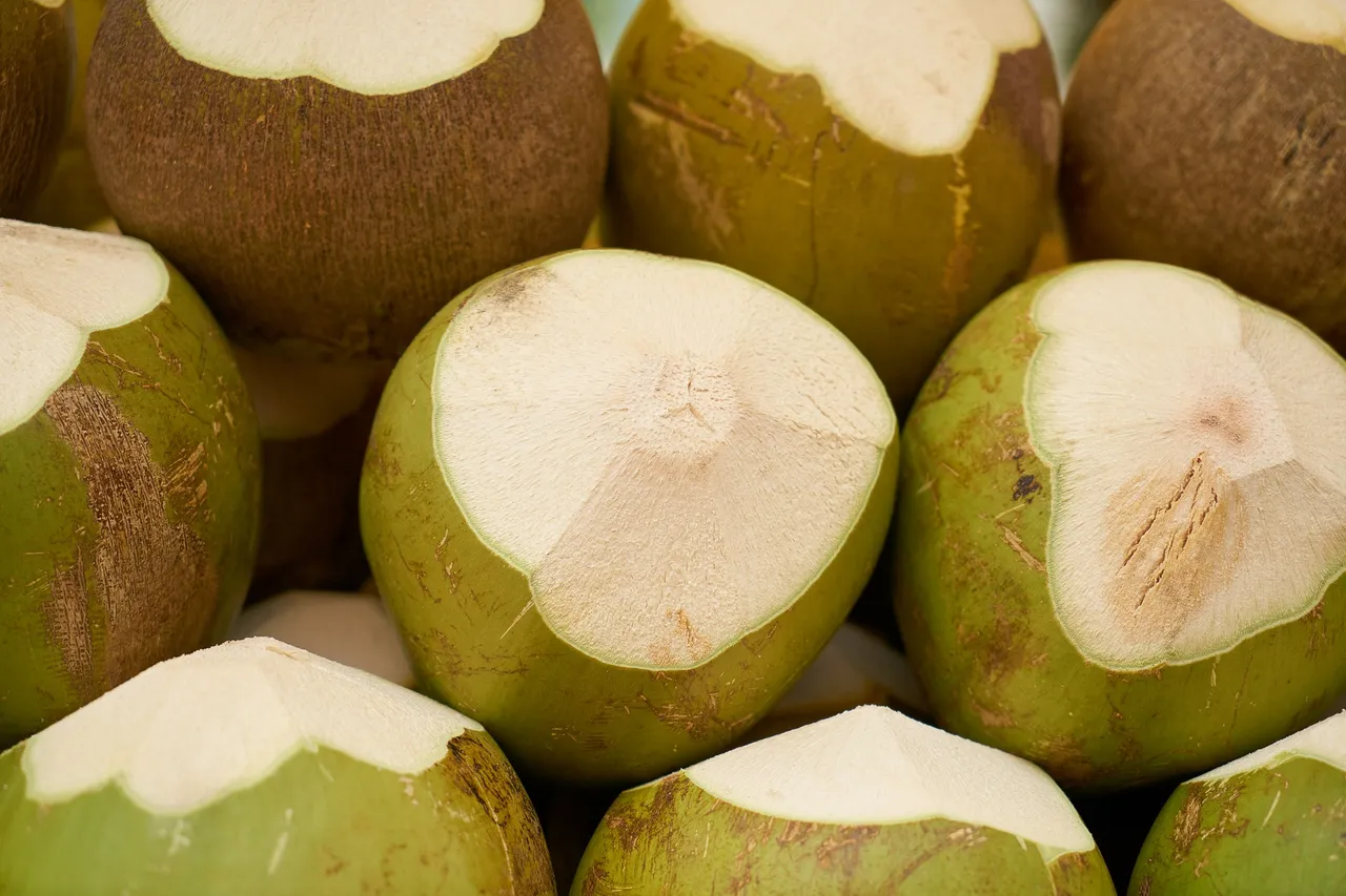 india-coconut-3221935_1920.jpg