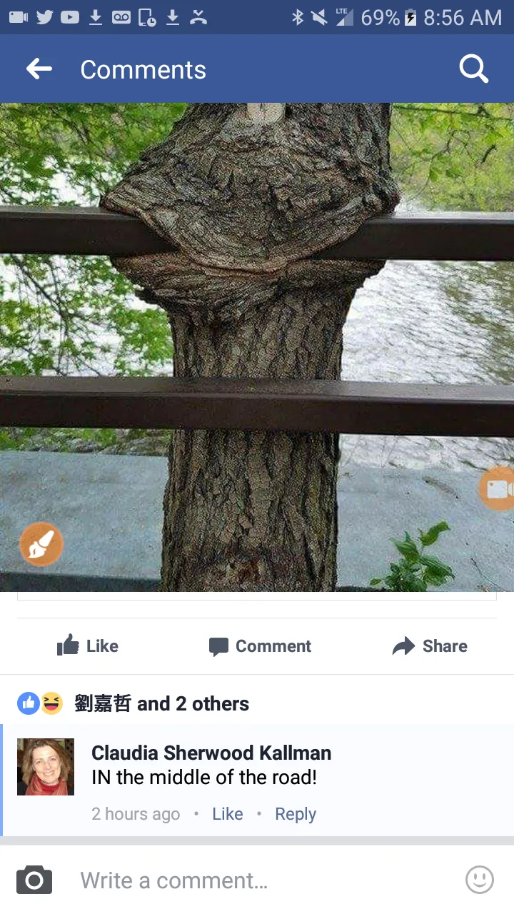 Screenshot_20170507-085620.png
