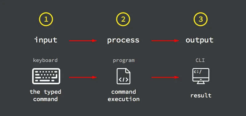 codio-program-process-flow.png