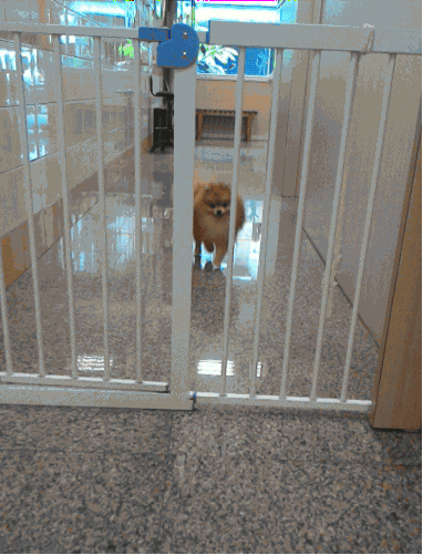 escape jail GIF-source.gif