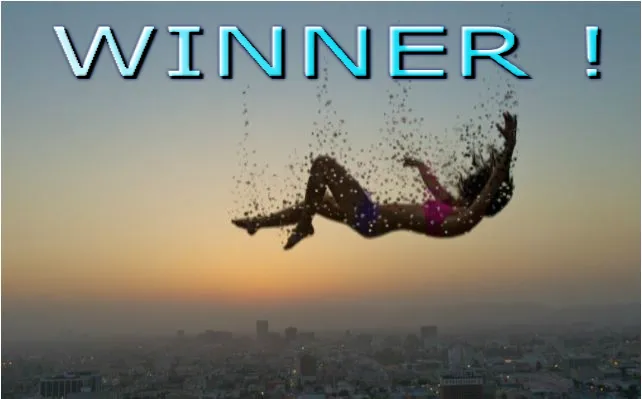 sky fall WINNER CARD.png