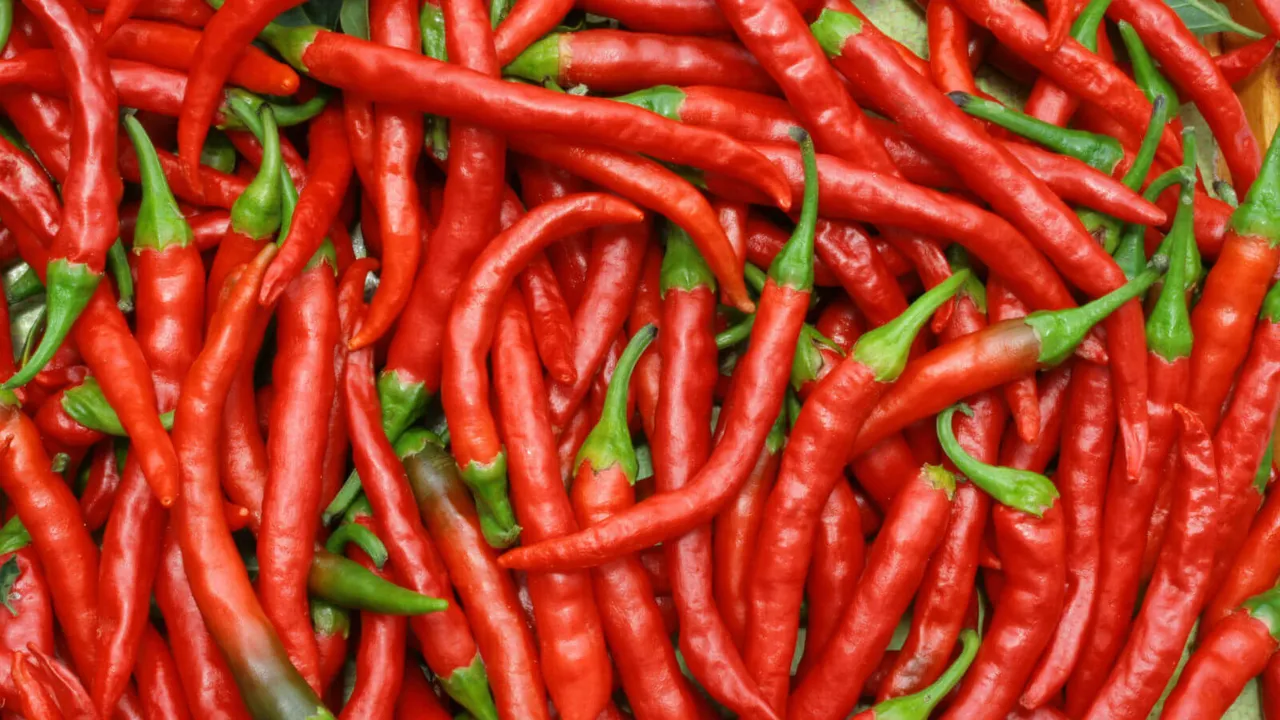 chiles-mas-picantes-mexico.jpg