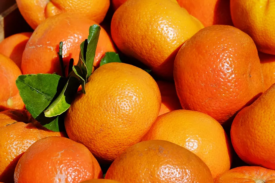 tangerines-3259942_960_720.jpg