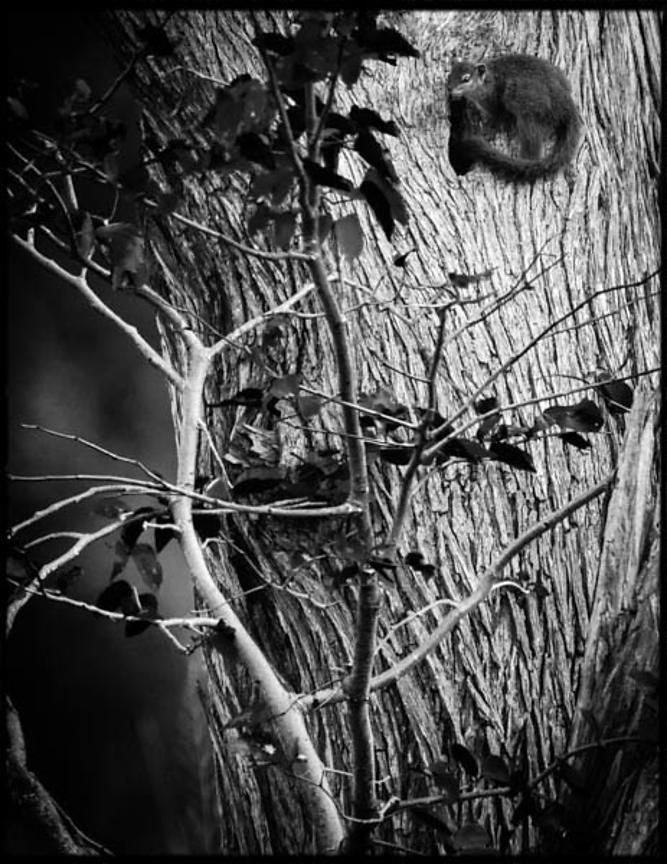 4117-Biodiv-Baheux_xgaplus.jpg