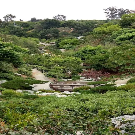 Japanese Garden Bridge.jpg