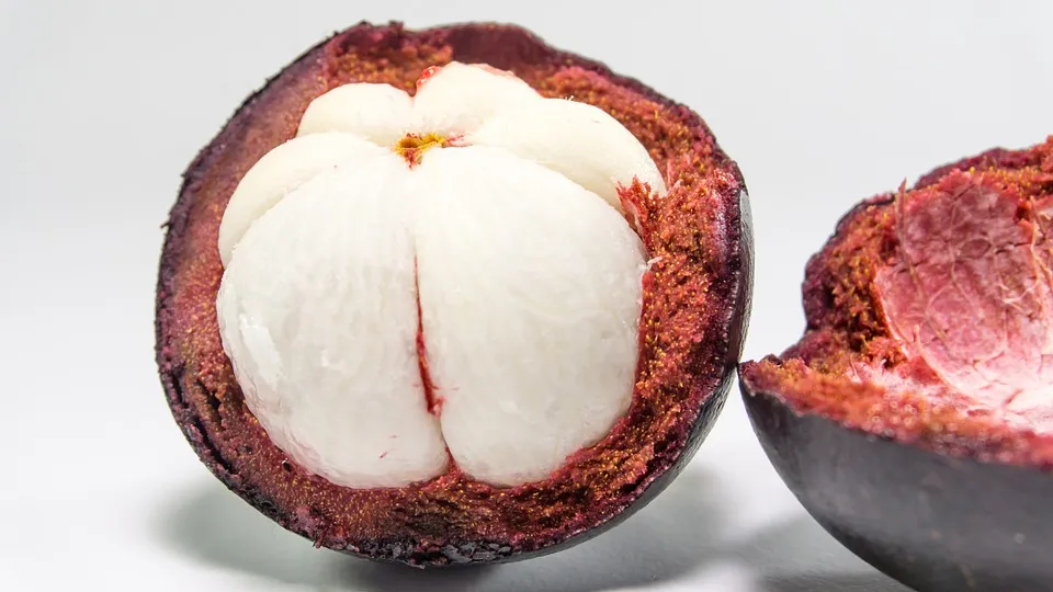 mangosteen-2477599_960_720.jpg