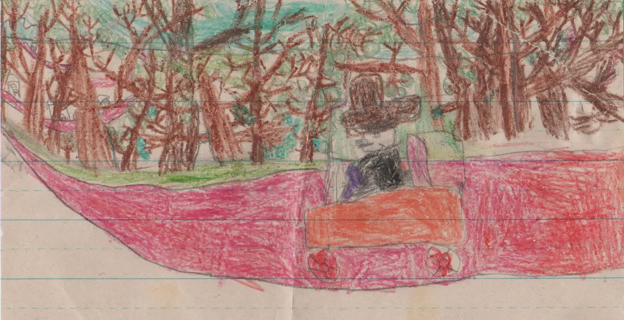 1993-12-16 - Thursday - Man Big Hat Driving Car Past Thick Forest on Red Road 2pics-1.png