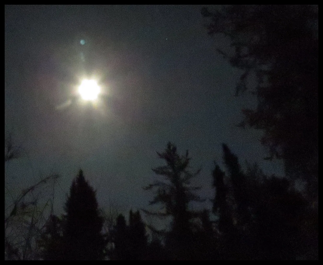 bright full moon with moonbean rays above silhouettes of spruce and pine trees dark sky.JPG
