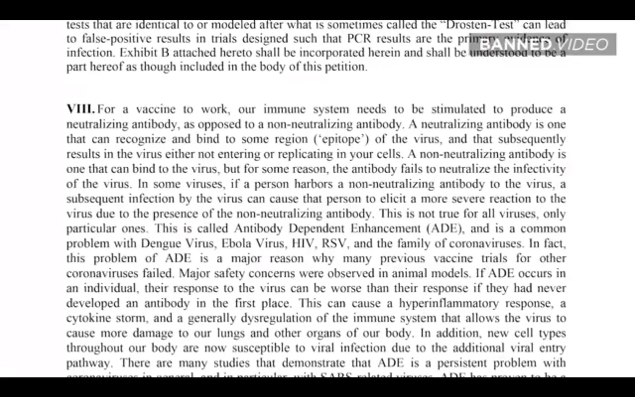 Screenshot at 2020-12-05 21:59:58 Wolfgang talks about the immune system and how vaccines work.png