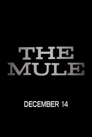 {[HD]}#FuLL PuTloCkeR'$!!    🐢  WatCH The Mule FuLL MOVIE and Free Movie Online  🐢