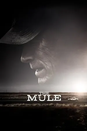 123moVies-{*[HD]*}   -*  WatCH The Mule FuLL MOVIE and Free Movie Online  -*