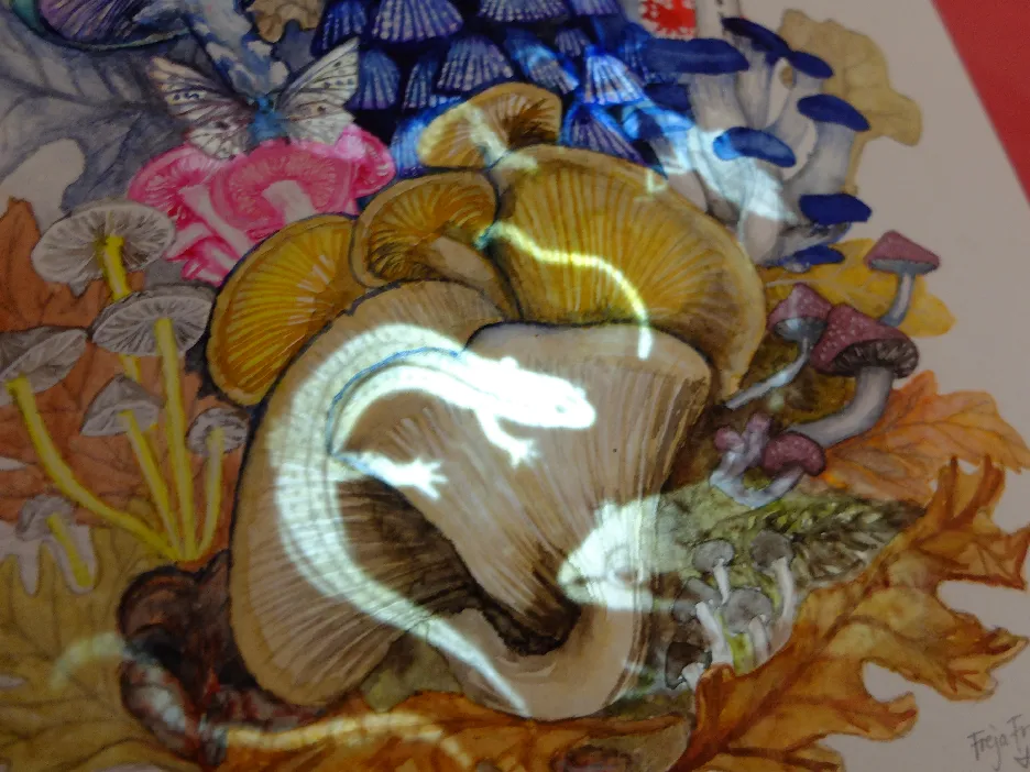 ntopaz-image-7
