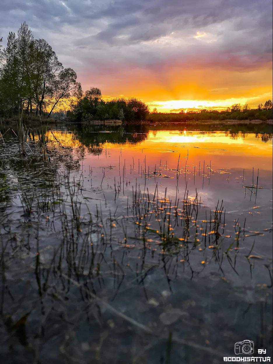 ntopaz-image-0