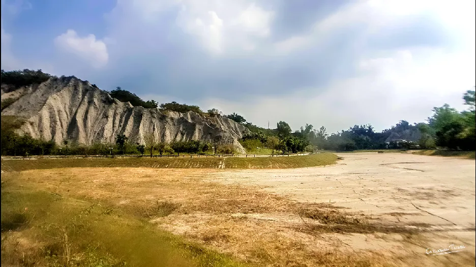 ntopaz-image-1