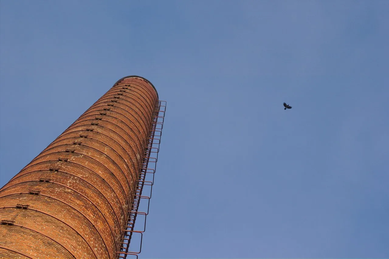 Pipe, and a bird