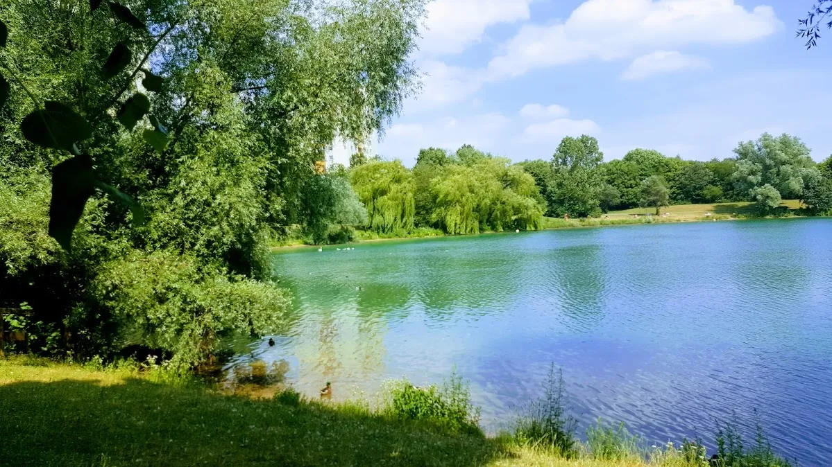 main_image
