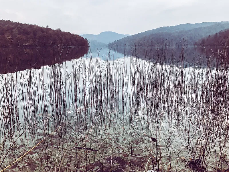 Lake view