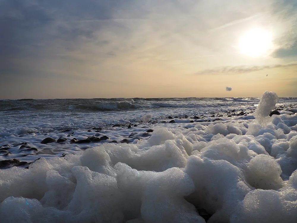 Foam Of The Sea