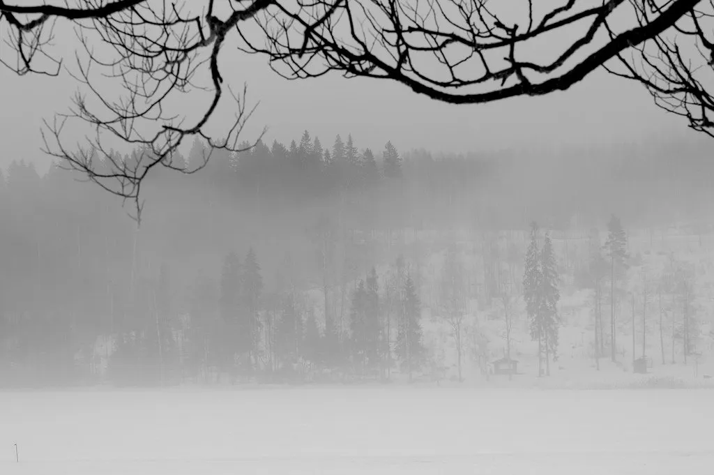 I Love Fog