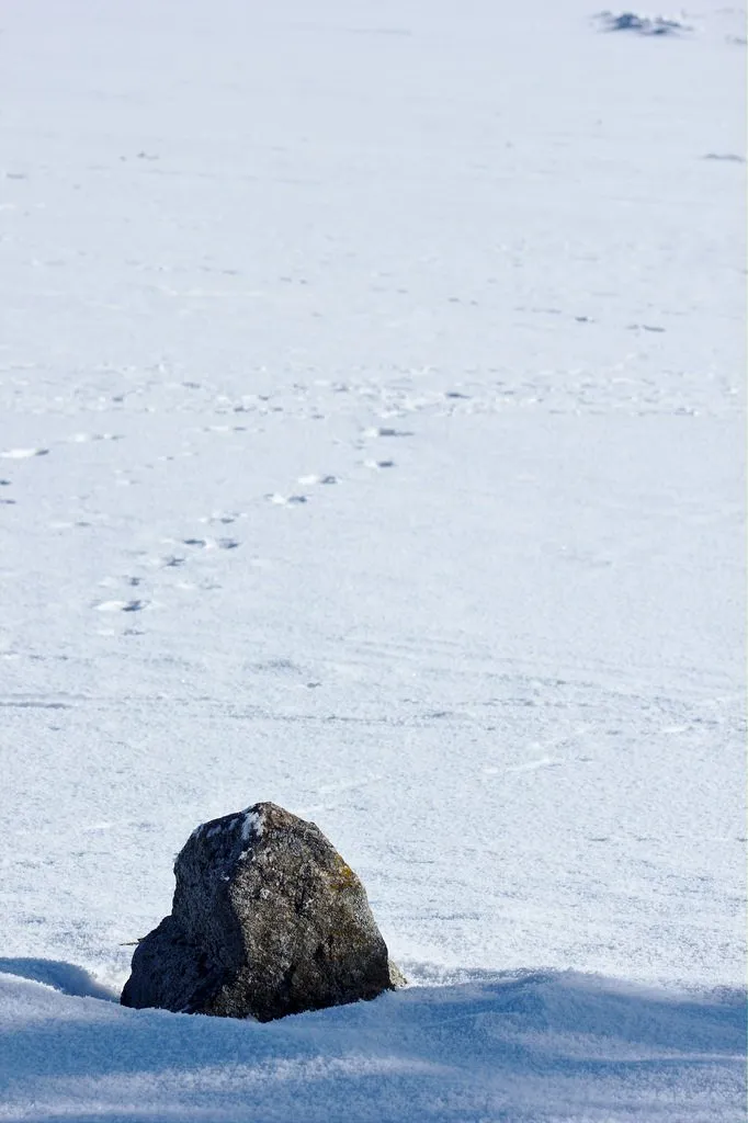 stone