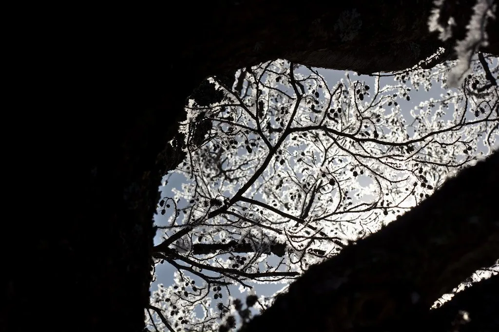 natural framing 2