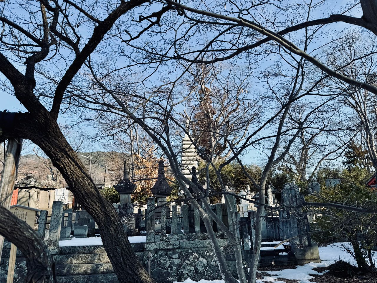 IMG_1121.jpeg
