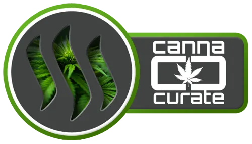 Canna-Curate-winner-bygrow-pro5