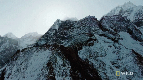 untitled.gif