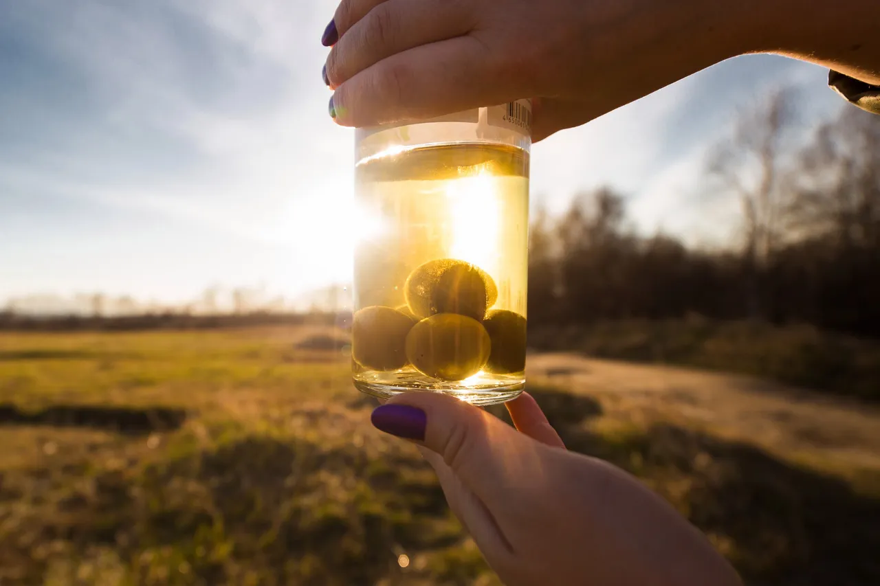 Umeshu