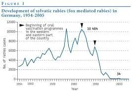 Rabiesgraphdcdb4.jpg