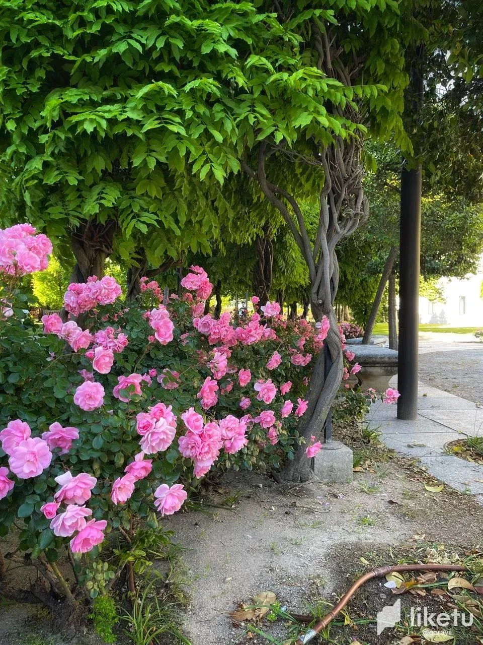 clwb8v0vf0020a9sz042g6py1_photo_7_2024-05-18_00-19-36.webp