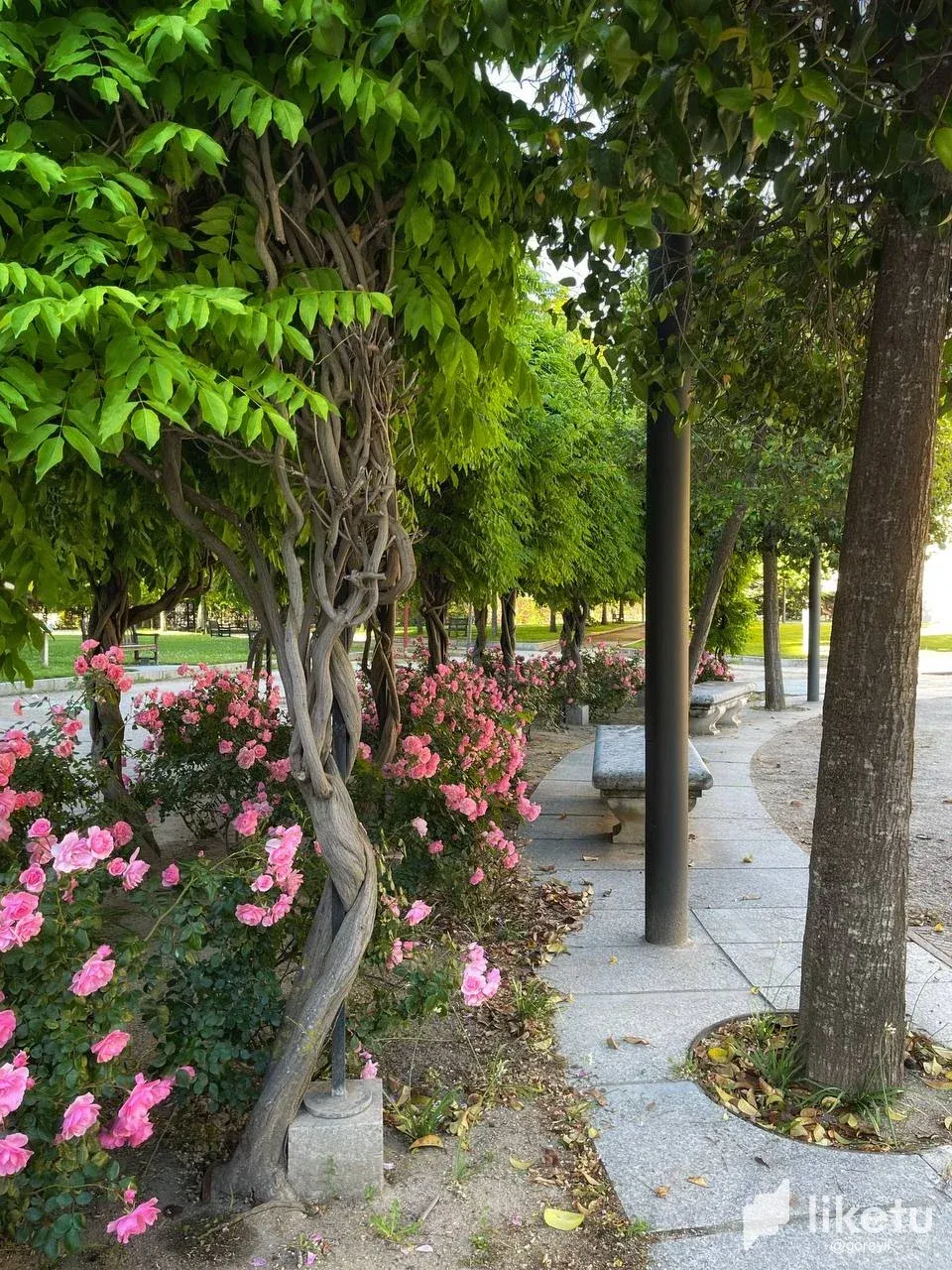 clwb8v4pk000nxysz9y73aocf_photo_8_2024-05-18_00-19-36.webp