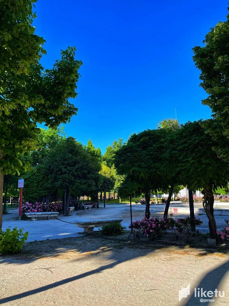 clwb8v7cc0027lmszclpdbuwq_photo_3_2024-05-18_00-19-36.webp