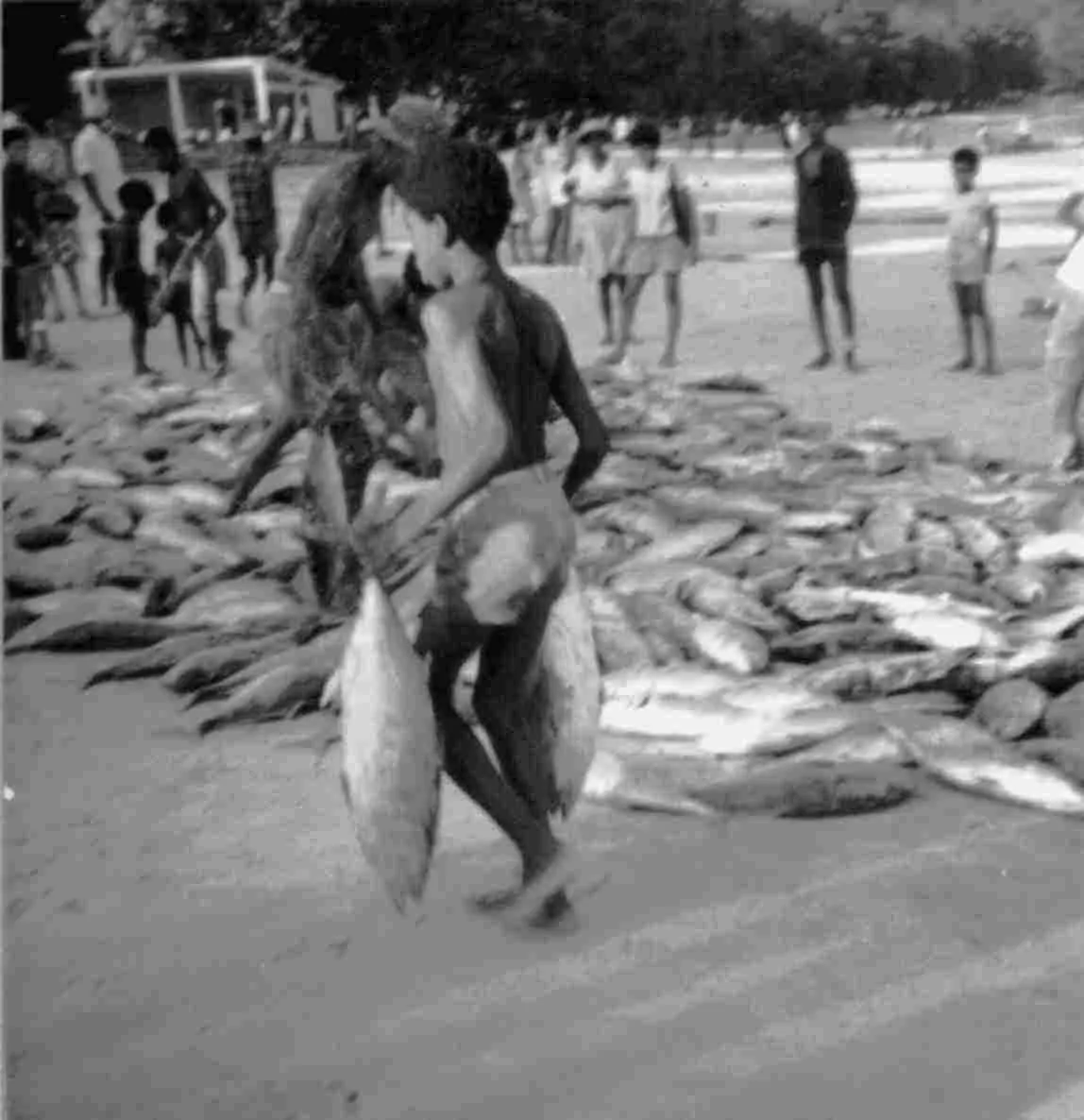 1973 - seychelles trip - beauvallon bay - mahe03 - b-w.jpg