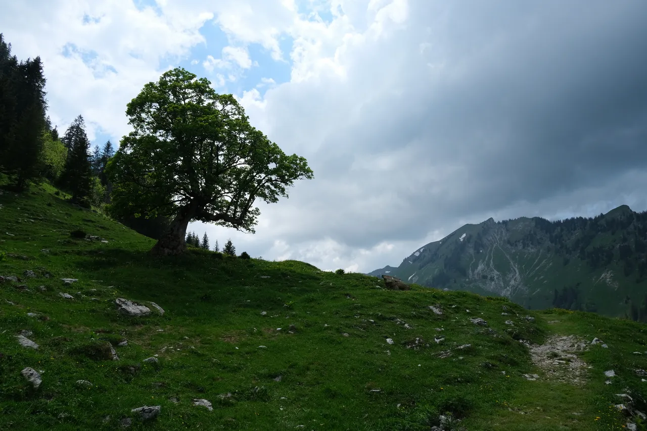 "Hike 2021-06-11 'Breccaschlund-Panoramaweg' (267) - 00016 - 1600W.jpg"