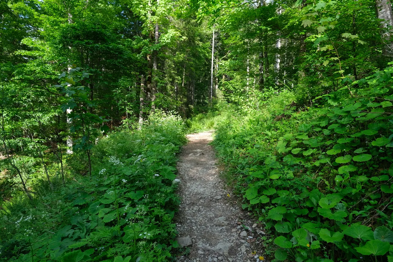 "Hike 2021-06-11 'Breccaschlund-Panoramaweg' (267) - 00033 - 1600W.jpg"
