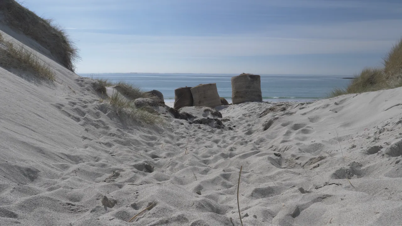 Fontaines D.C. - I Love You (Official Video).00_01_00_03.Still013.png