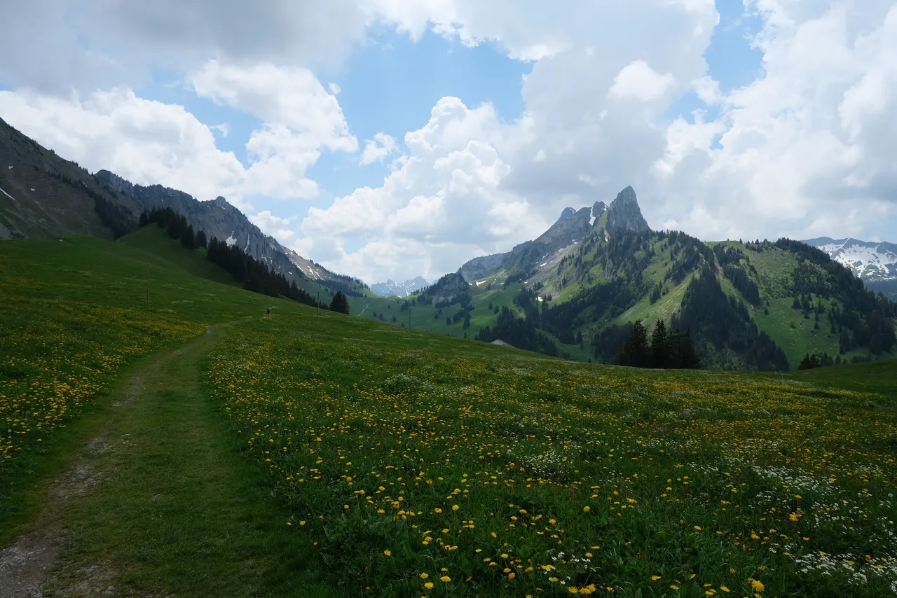 "Hike 2021-06-11 'Breccaschlund-Panoramaweg' (267) - 00011 - 1600W.jpg"