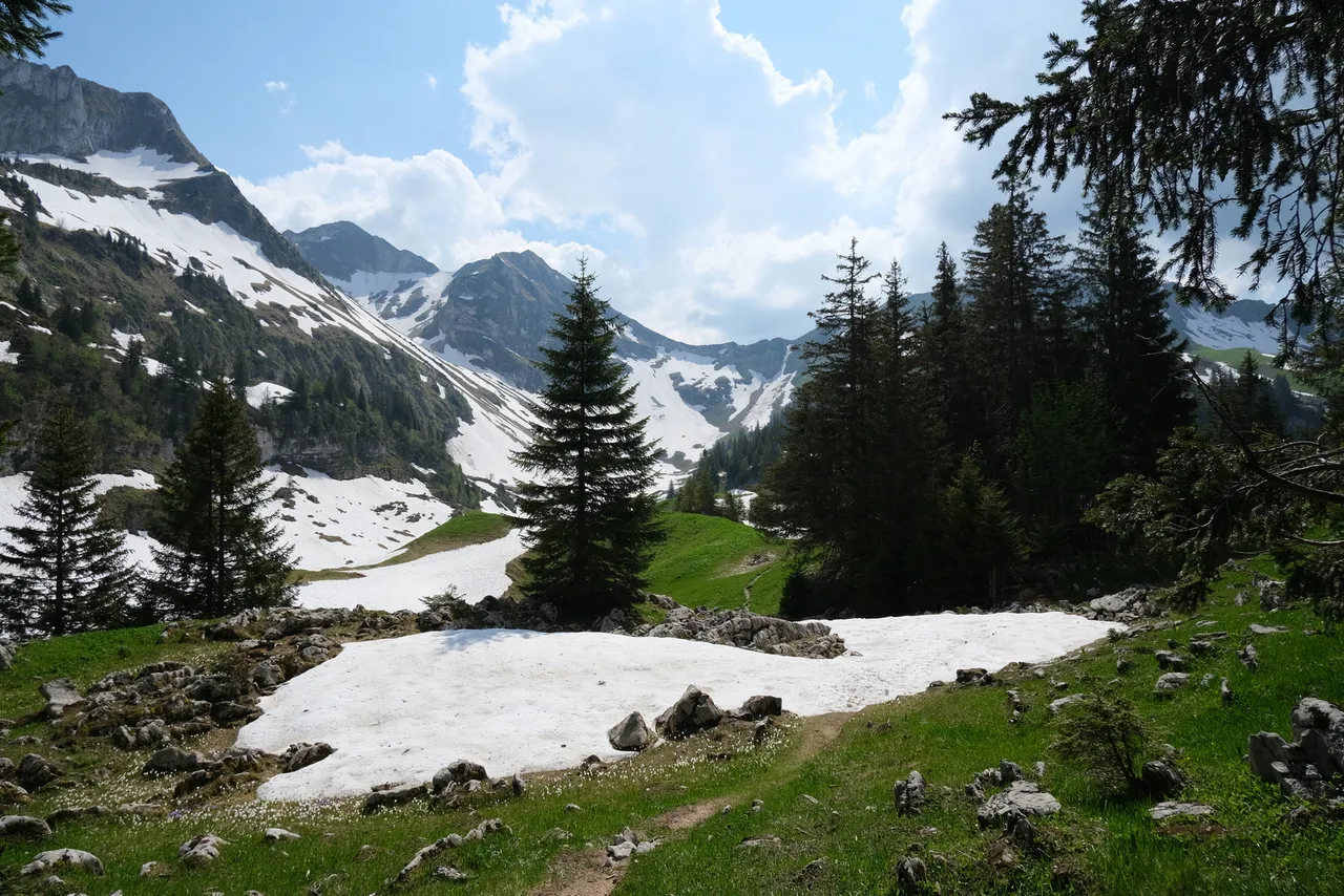 "Hike 2021-06-11 'Breccaschlund-Panoramaweg' (267) - 00021 - 1600W.jpg"